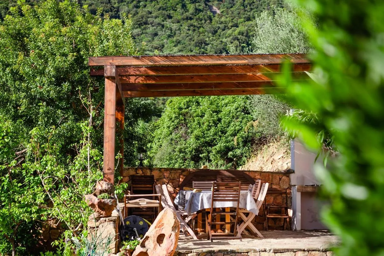 Villa Mariposa Exclusive Private Pool Budoni