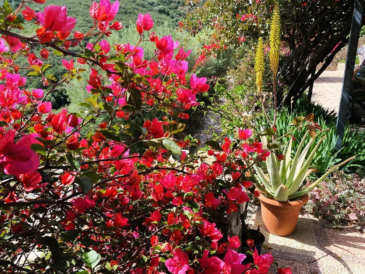 Villa Mariposa Exclusive Private Pool Budoni 0*,  Italia