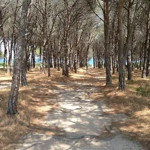 Appartamento Berna